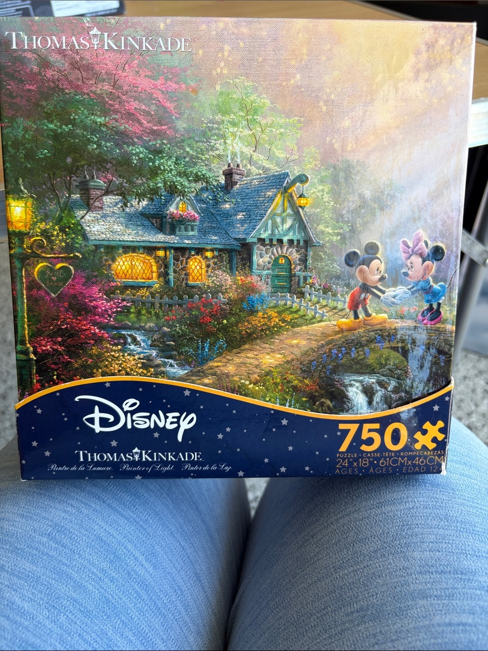 Thomas Kinkade Disney Cottage Scene in Blue, Green, Pink and Yellow